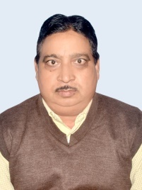 Shri Rajeev Kumar Tripathi